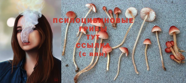 ГАЛЛЮЦИНОГЕННЫЕ ГРИБЫ Бугульма
